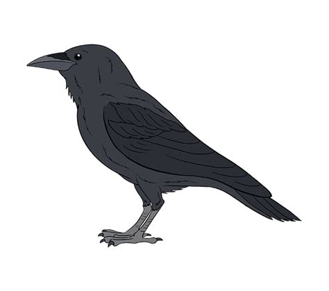 how to draw a raven|how to draw raven easy.